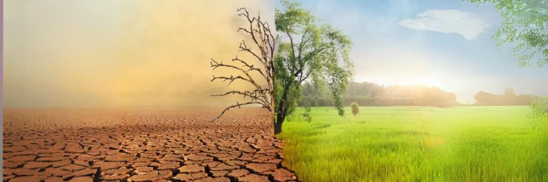 Understanding Climate Change: Causes, Effects, and Solutions