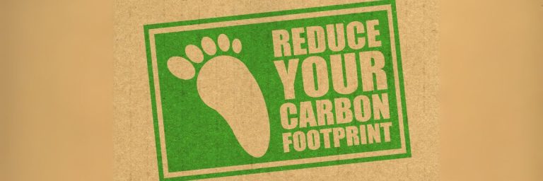 Sustainable Living: Easy Steps to Reduce Your Carbon Footprint